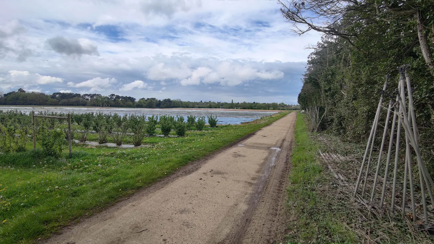 Fruit fields at Grays Farm, Heathlands Road, Wokingham