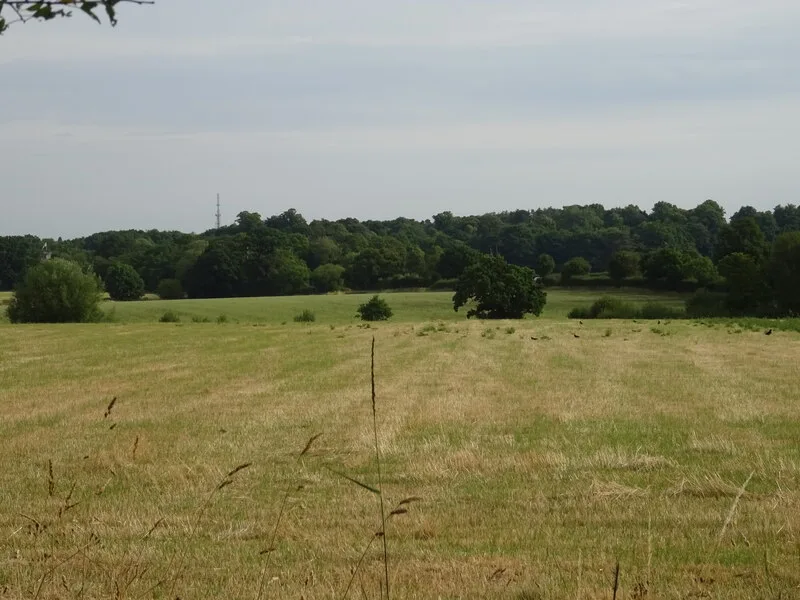 Grassland near Prior's Farm, south of Wokingham, part of the land in the application